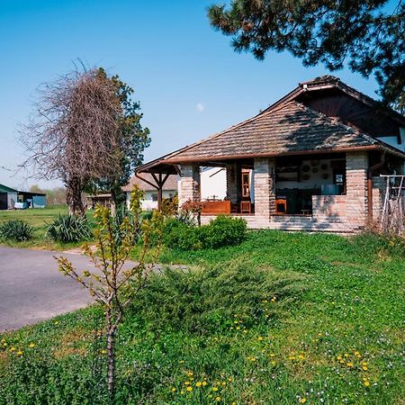 Sun City Vizisport Paradicsom Hódmezővásárhely Eksteriør billede